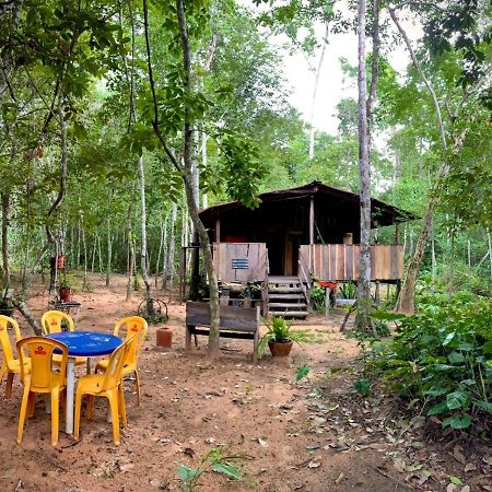 Hotel Hospedagem Aldeia Do Leao Carolina  Exterior foto