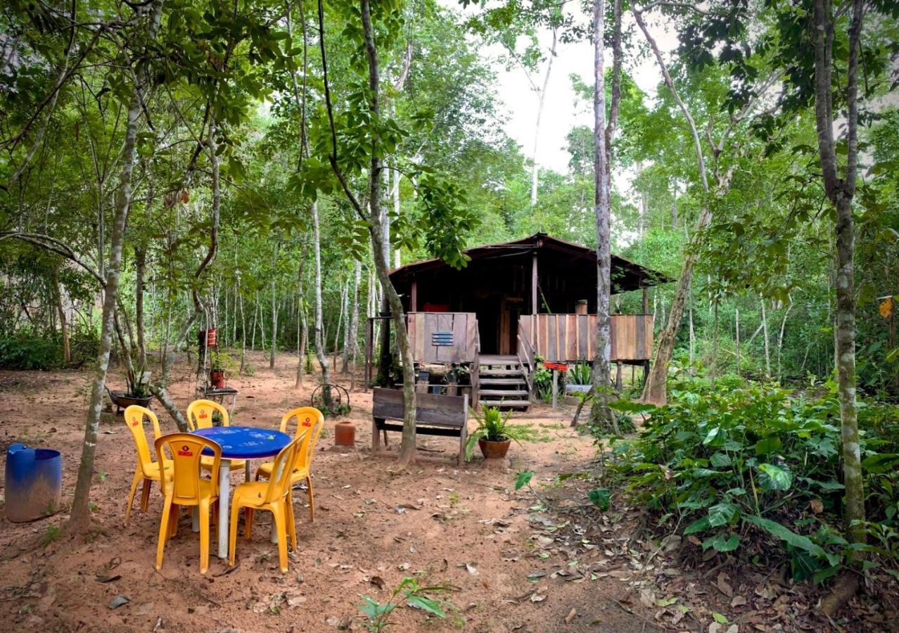 Hotel Hospedagem Aldeia Do Leao Carolina  Exterior foto
